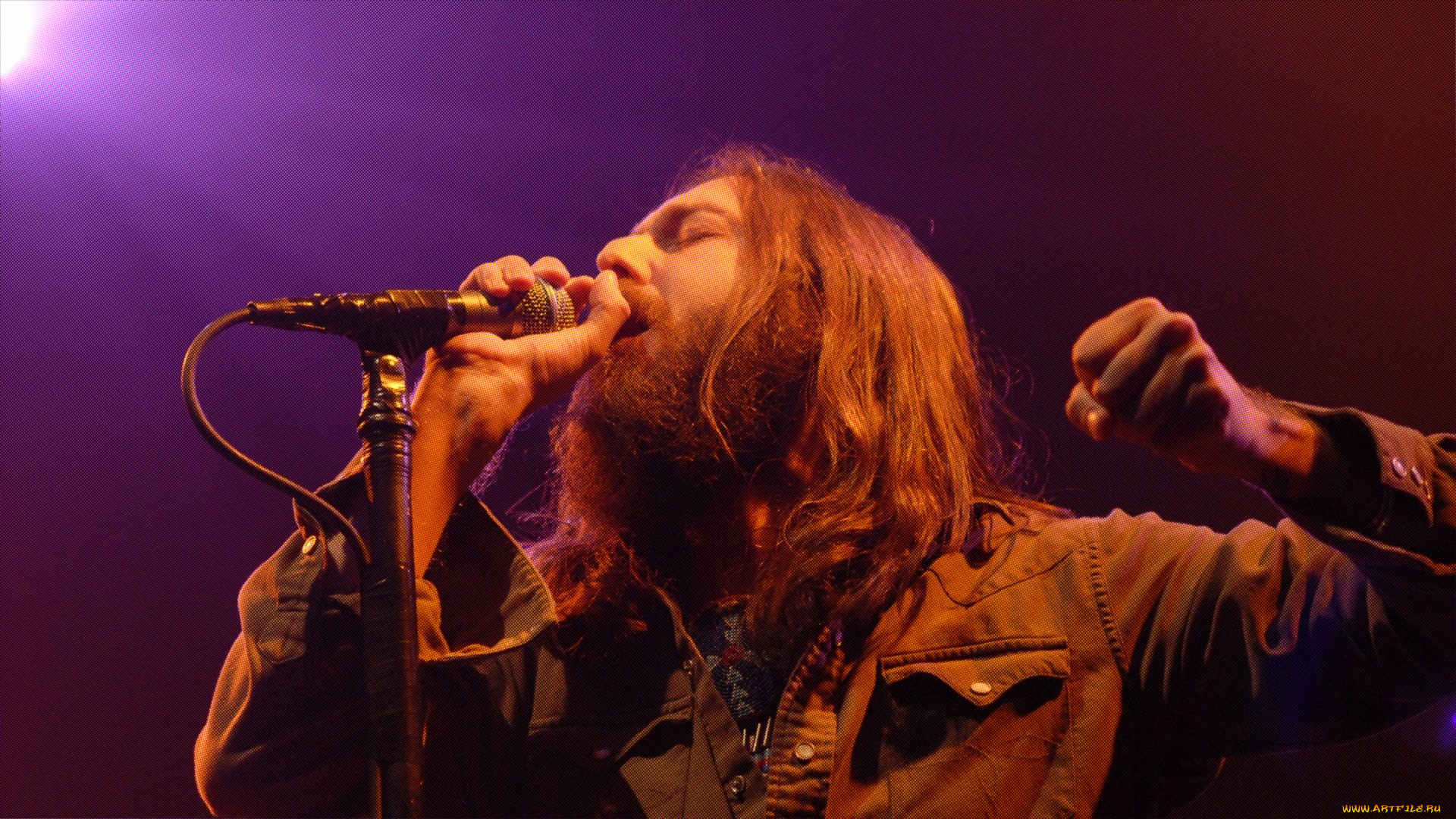 the-black-crowes, , the black crowes, 